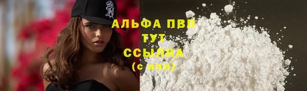 тгк Абинск