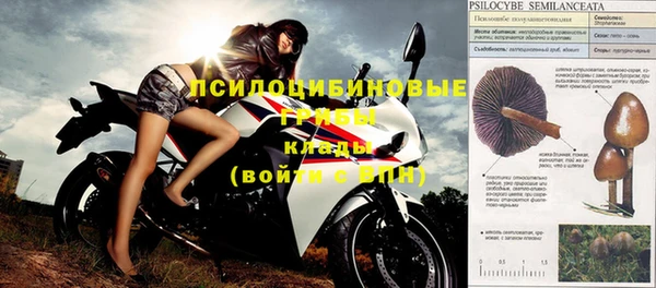 тгк Абинск