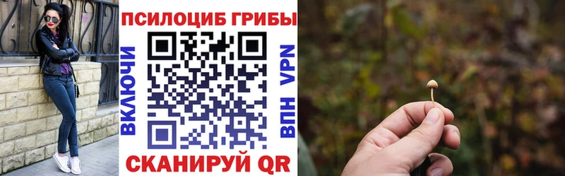 магазин  наркотиков  Электроугли  Псилоцибиновые грибы GOLDEN TEACHER 